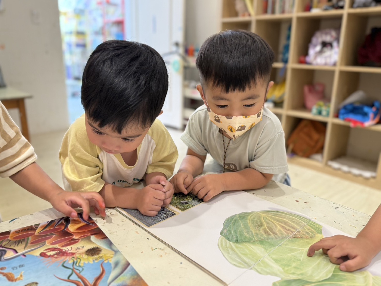 孩子觀察葉子與圖像資料